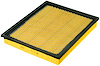Air Filter - Tough Guard - image 1