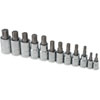 RIBE Socket Set 12pc Includes: - image 1