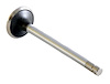 EM2739 Exhaust Engine Valve for 1993-1997 Geo, Toyota 1.6L, 1.8L