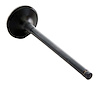 EM3461 Exhaust Engine Valve for 1998-2004 Isuzu, Acura, Honda 3.2L, 3.5L