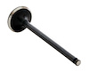 EM4403 Exhaust Engine Valve for 1995-2002 Kia 2.0L - image 1