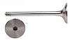 EM5041 Exhaust Engine Valve for 1996-2006 Volkswagen 1.9L - image 1
