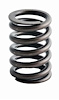 ERV1082 Valve Spring Set for AMC/Jeep, 232 ci, 258 ci, 304 ci, 360 ci - image 1
