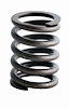 ERV1086 Valve Spring Set for Ford, 255 ci, 305 ci