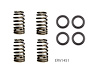 ERV1451 Valve Spring Set for Chrysler, 5.7L 345 - image 1