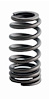 ERV1485 Valve Spring Set for Ford, 4.6L, 5.4L, 6.8L