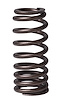 ERV1631 Valve Spring Set for Ford, 3.5L, ECOBOOST - image 1