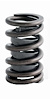 ERV685-100 Valve Spring Set for GM/Pontiac - image 1