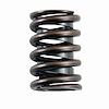ERV887X Valve Spring Set for Ford, 6.9L, 7.3L - image 1