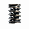 ERV909X Valve Spring Set for Ford, 390 ci, 391 ci, 428 ci - image 1