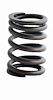 ERV923 Valve Spring Set for GM/Pontiac, 350 ci, 400 ci - image 1