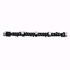 ES1043M Camshaft for GM/Chevrolet - image 1