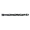 ES1045M Camshaft for GM/Chevrolet, 454 ci - image 2