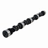 ES1224R Camshaft for GM/Chevrolet - image 3