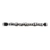 ES1382 Camshaft for 2001-2007 Chevrolet, GMC 8.1L - image 2
