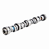 ES1384 Camshaft for 2001-2007 Cadillac, Chevrolet, GMC, Pontiac 5.7L, 6.0L - image 1
