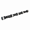 ES1522 Camshaft for 1994-1997 Chevrolet, GMC 7.4L - image 1
