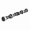 ES1554 Camshaft for 1996-2002 Jeep 2.5L - image 1