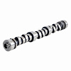 ES1569 Camshaft for 1994-1999 Buick, Chevrolet, Oldsmobile, Pontiac 3.1L, 3.4L - image 1