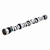 ES336 Camshaft for 1995-1997 Buick, Cadillac, Chevrolet, Pontiac 5.7L - image 1