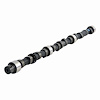 ES551 Camshaft for 1963-1989 Chevrolet, GMC 4.8L - image 1