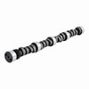 ES669 Camshaft for 1973-1998 Chevrolet, GMC 6.0L, 7.0L - image 2