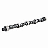 ES690 Camshaft for 1976-1980 Buick, Pontiac 4.3L, 4.9L, 5.7L, 6.6L - image 1