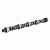 ES690 Camshaft for 1976-1980 Buick, Pontiac 4.3L, 4.9L, 5.7L, 6.6L - image 2