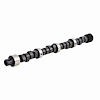 ES691 Camshaft for 1978-1981 Buick, Oldsmobile, Pontiac 4.3L, 4.9L - image 1