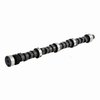 ES691 Camshaft for 1978-1981 Buick, Oldsmobile, Pontiac 4.3L, 4.9L - image 3