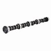 ES707 Camshaft for 1977-1984 Buick, Cadillac, Oldsmobile, Pontiac 5.0L, 5.7L, 6.6L - image 2