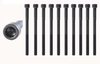 HB174 Head Bolt Set for 2001-2007 Toyota, Scion 2.0L, 2.4L - image 2