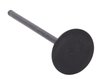 IM1018 Intake Engine Valve for Honda, 2.4L 2536 - image 2