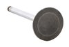 IM2440 Intake Engine Valve for Ford/Mazda, 1.6L, B6 - image 2