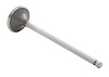 IM2452 Intake Engine Valve for Honda - image 1
