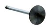 IM2510 Intake Engine Valve for Toyota, 2.0L - image 2