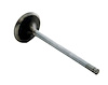 IM2654 Intake Engine Valve for Honda, 1.6L - image 1
