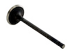 IM2694 Intake Engine Valve for GM/Suzuki, G16KC - image 1