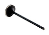 IM2760 Intake Engine Valve for Honda, 2.2L 2156 - image 1