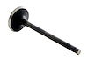 IM2764 Intake Engine Valve for Honda, 2.3L - image 1