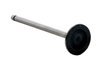 IM2780 Intake Engine Valve for Nissan, 1.6L, GA16I - image 2