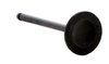 IM2836 Engine Valve for Mazda, 2.0L - image 2
