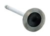 IM3470 Intake Engine Valve for Hyundai, 1.8L, 2.0L - image 2
