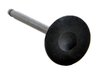 IM4354 Intake Engine Valve for Nissan, 2.4L, KA24DE - image 2
