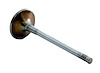 IM4442 Intake Engine Valve for Audi/Volkswagen, 2.0L - image 1