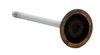 IM4442 Intake Engine Valve for Audi/Volkswagen, 2.0L - image 2