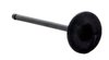 IM4454 Intake Engine Valve for Nissan, 1.8L, 2.0L, MR18DE MR20DE - image 2