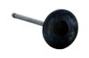 IM4456 Intake Engine Valve for Toyota, 3.5L, 4.0L, 4.6L, 5.7L - image 2