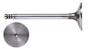 IM5040 Intake Engine Valve for Volkswagen, 1.9L - image 1