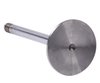 IM5040 Intake Engine Valve for Volkswagen, 1.9L - image 3